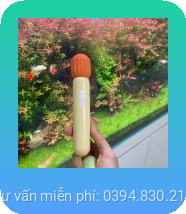 chày rung tăng khoái cảm