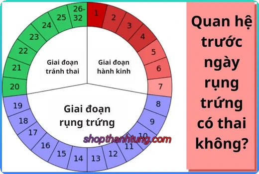 Quan hệ gần ngày rụng trứng