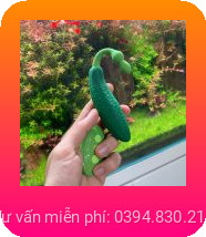 trứng rung tình yêu quả cà tím