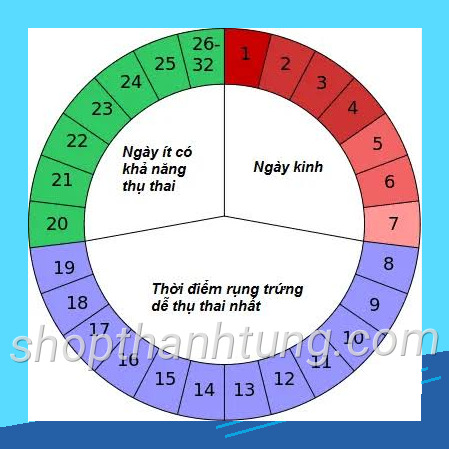 Tinh ngay rung trung