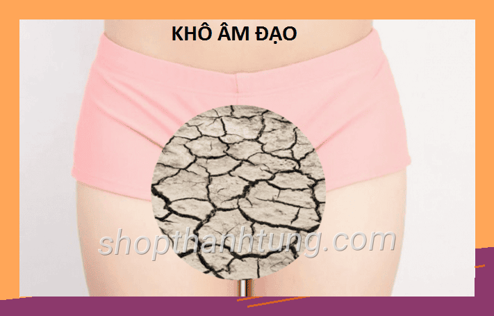 Kho am dao